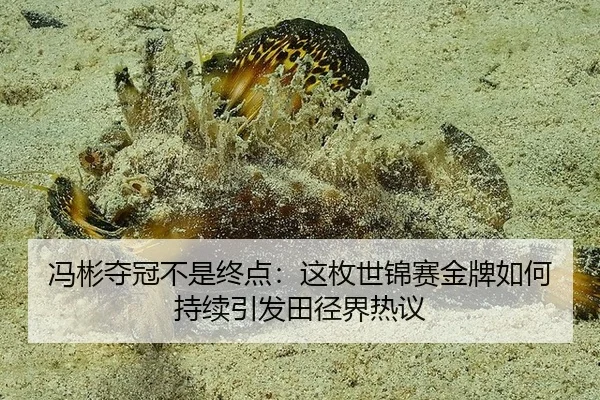 冯彬夺冠不是终点：这枚世锦赛金牌如何持续引发田径界热议