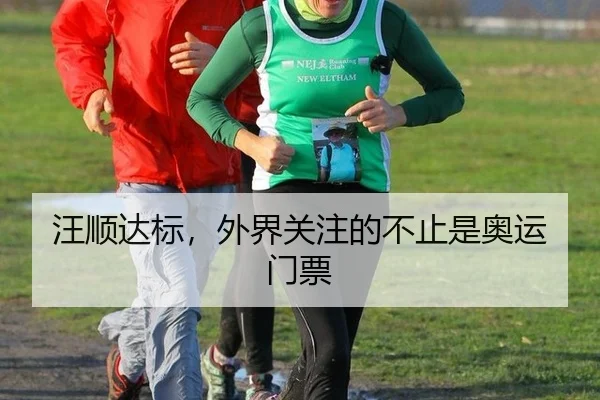 汪顺达标，外界关注的不止是奥运门票