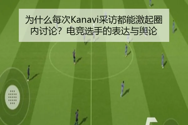 为什么每次Kanavi采访都能激起圈内讨论？电竞选手的表达与舆论（leyu）